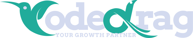 CodeDrag Infotech | Your Growth's Partner